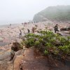 GeoPark (93)